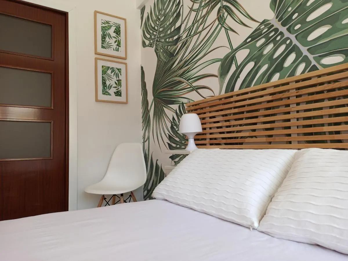 Vina 41 Apartment Cadiz 0*,  Spain